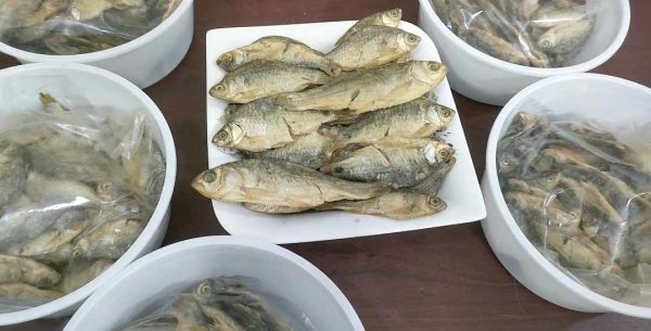 কিং সাইজ A- গ্রেড এর পুটি মাছের চ্যাপা শুটকি - Image 3